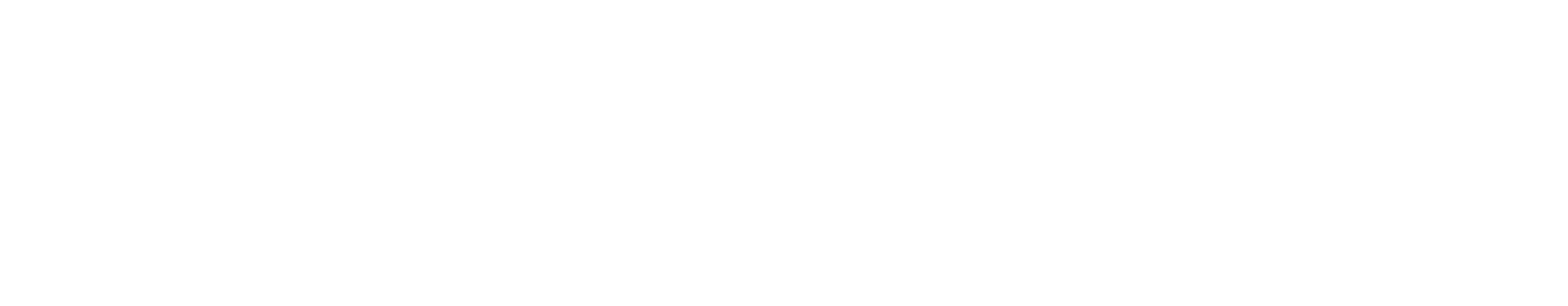 Logo Footer